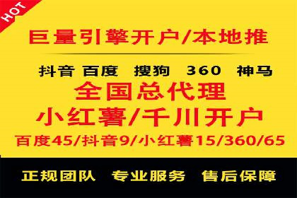 企业SEM服务实战案例解析